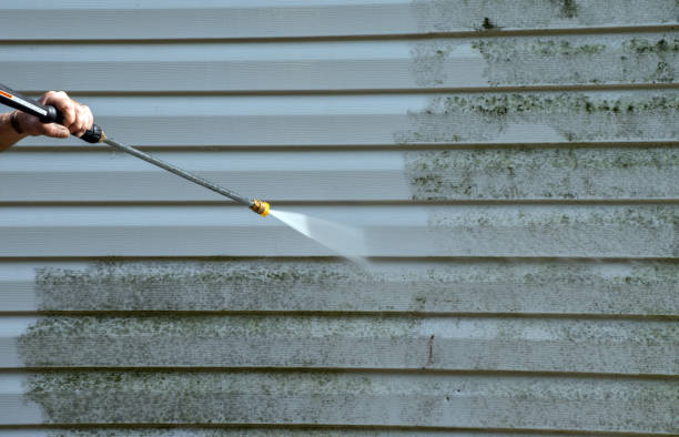 Best Residential Pressure Washing Services  in Buffalo Center, IA