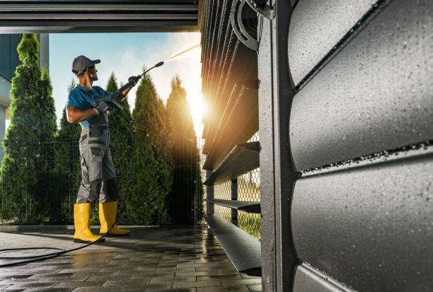 Best Roof Pressure Washing  in Buffalo Center, IA