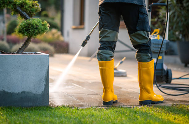 Best Fence Pressure Washing  in Buffalo Center, IA